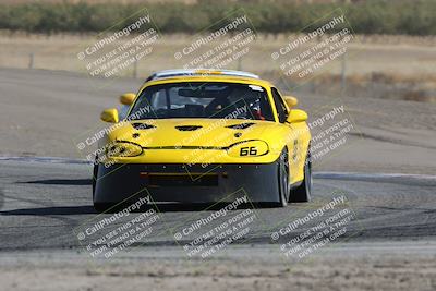 media/Oct-21-2023-Speed Ventures (Sat) [[ddf75163c5]]/Green/Grapvine/